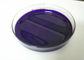 Фиолетовая аттестация КОА ТДС СГС МСДС прочности высокого цвета затира пигмента Пу 5в поставщик